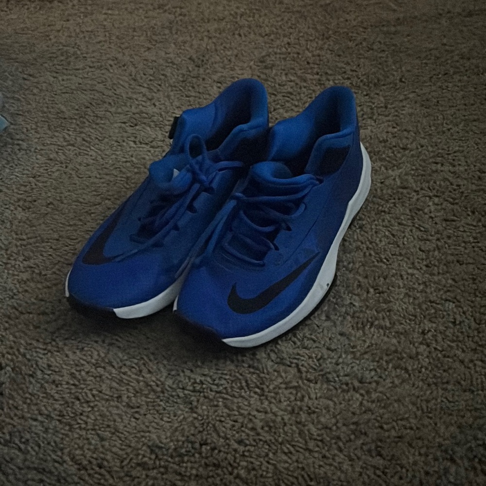 The shose is no derty no broken is color blue